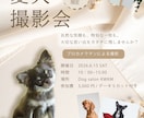 ペットタクシー、サロン等のチラシをお作りします ペット関連の新規開店のお手伝いさせてください！ イメージ1
