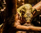 写真の編集、アイコラ（合成）画像の作成を代行します 映える写真、面白い写真、などをつくりたい人！！ イメージ3