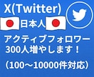 Twitterフォロワー増加します twitterの日本人フォロワー300人以上増やします イメージ1