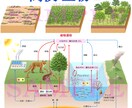 １ランク上のクオリティで理科教材の図版を描きます 植物、昆虫、魚類などの生物から理科の実験器具まで制作します。 イメージ5