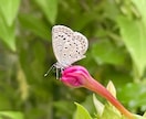自分を愛するよう滞りを流し癒しのヒーリングします クリスタルヒーリング☆心身緩み、安らぎを感じたい方へ イメージ2
