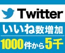 Twitterいいね+1000件から増加します 先着5名様限定 特別価格！ ※埋まり次第値上げします イメージ1