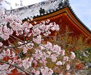 東京都内２３区内の神社お寺お参り代行します 地方や遠方、病気などでお参りが出来ない方にお参りを代行します イメージ1