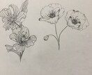 線画のみのお花の絵描きます いろんな用途でご使用できます。 イメージ3