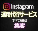 インスタ運用2週間代行します 【SNSで集客・宣伝】投稿・画像作成・全てお任せ運用代行です イメージ1