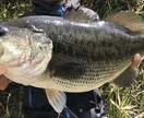 バス釣りの聞きたい事なんでも答えます バス釣り歴20年。元JBトーナメンターが何でも教えます。 イメージ2