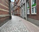 犬・ヨーロッパの素材写真を提供します ドッグフォト・ヨーロッパ風景の写真素材が必要な方‼︎ イメージ3