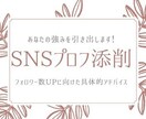 あなたの強みを活かし、SNSプロフ添削します 【性格診断×Twitter】でフォロワーを増やしませんか？ イメージ1