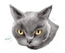 あなたの大事なペットの似顔絵を描きます 大切な家族の似顔絵を描かせてください！( ◠‿◠ ) イメージ2