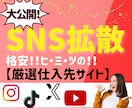 SNS拡散サービスの厳選仕入れ先＆仕組みを教えます TiKTOK YouTube Instagram 副業 イメージ1