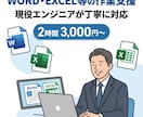 WORD,EXCEL等の作業を支援します 現役ITエンジニアがあなたのIT業務を支援します イメージ1