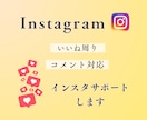 Instagramをサポートいたします 忙しい方のあなたの代わりに丁寧にいいね、コメント対応します イメージ1