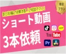 ショート動画3本/ゆっくりプランで編集します ＊60秒以内の編集価格/Instagram・TikTok等 イメージ1