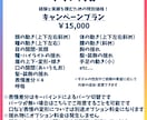 先着1名様に格安でLive2Dモデリング承ります 高可動・高品質なLive2Dモデルをお安く提供します！！ イメージ4