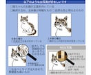 猫描/あなたの猫、描きます 一本ずつ編んでいくようなぎゅっ！と密度ある細かな似顔絵です イメージ4