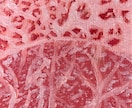 個性・高級感のあるお肉のイラストを描きます 焼肉店・肉料理店の空間を彩る、油絵ならではの質感と高級感を イメージ6