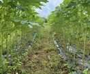 何でも聞きます どんな悩みでも言ってください、楽になります イメージ1