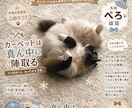 うちの子、雑誌デビューします ペット写真を表紙みたいな一枚に イメージ9