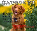 暇電､愚痴電､何でもお話し相手になります 今日の愚痴を言いたい､彼氏彼女の悪口言いたい何でも OK イメージ1