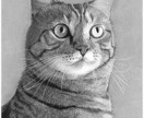 猫、犬等ペットの似顔絵をモノクロでリアルに描きます 鉛筆画、パステルなどで白黒の小動物を写真のように描きます イメージ8