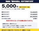丸投げOK！フルテロップ込みで動画編集します フルテロップ込み。料金は素材の長さだけで決まります イメージ3