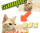 LINEスタンプ制作します あなたの家族を記念に残しませんか？？16セット‼️ イメージ2