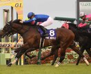 今週の競馬重賞予想します スプリンターズSとシリウスS当てたい方へ！ イメージ2