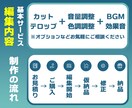 まずはご相談ください！動画編集承ります ☆迅速・丁寧・高品質☆　理想の映像に仕上げます！ イメージ2