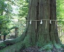 あなたの気づいていない宿命を診断します あなたの知らない取り扱い説明書をお伝えします イメージ8