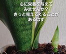 ５分でもお話聞きします 頑張ってるのにツラい人の気持ちが分かる50代女性占い師 イメージ5