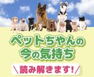 気になるあの人のトリセツ作ります 今なら！タロット占い、オラクルカードからメッセージ致します。 イメージ5