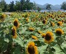 あなただけのこの一度きりの人生の道案内します 思い切り手を伸ばす勇気を持って、それだけの価値はあるから。 イメージ2
