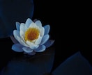 復縁鑑定✴︎まだ復縁の可能性があるか霊視します このまま想い続けていいのか不安に終止符を/霊視鑑定/復縁 イメージ3