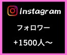 Instagramフォロワー1500人〜増やします あなたのSNSマーケティングをお手伝い致します イメージ1