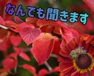 愚痴なんでも聞きます 日頃溜まったストレスを話す事で楽になりますよ イメージ1