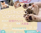 目に留まるバナーWeb画像作ります 女性/バナー/ヘッダー/Instagram/広告/デザイン イメージ8