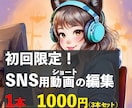 始めての方限定！SNS用動画の編集します ファンを獲得するための動画をテレビマンが作ります！ イメージ1