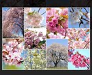 たわいもない話から仕事の愚痴まで何でも聞きます 無責任な感じで話しますが、人間観察が好きです イメージ1