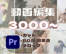 MV風・Vlog風！思い出の写真や動画を編集します 思い出の動画を編集したいけど面倒くさいと感じてるならお任せを イメージ1
