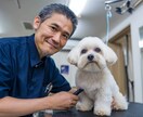 ペット業界のAIモデル画像を生成します 実物にちかいAIモデル画像を３枚ご提供 イメージ8
