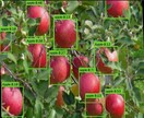 お客様専用の画像カウントツールを作ります フォルダを指定 → ボタンを押すだけ！AIが自動カウント イメージ3
