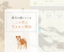 愛犬が生まれ持つ本質「人生の設計図」をひも解きます 愛犬の本質を深く知ることで、 今よりもっと愛おしい日々に。 イメージ4