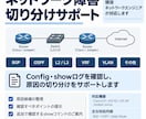 ネットワーク障害の切り分けを支援します Cisco・Juniperの実務経験を活かして対応 イメージ1
