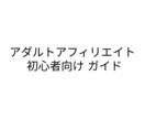 アダルトアフィリエイト初心者の不安に答えます 収益ゼロの状態から抜け出せるヒントを見つけ出しましょう！ イメージ1