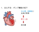 看護教員向け：講義資料などの作成代行します 臨床経験７年＋看護教員歴８年　授業準備を効率化したい方へ イメージ4