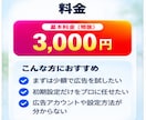 Instagram広告の初期設定を代行します 現役運用者がインスタ・Meta広告の初期設定を丁寧にサポート イメージ9
