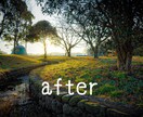 あなたの画像修正(編集)します 撮影失敗やお気に入りの写真をより輝かせます！ イメージ8