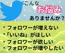 Twitter日本人+アジア人フォロワー増加します 減少率低め！30日減少保証付き！1000人増加確実！！ イメージ2