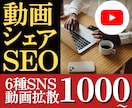 6種類SNSに動画を拡散！SEO対策宣伝します 複数のSNSに動画を拡散して宣伝+SEO強化を行います！ イメージ1