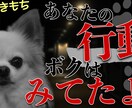 YouTube特化のサムネイル作成承ります YouTubeチャンネルを伸ばすお手伝いを任せてください１ イメージ6